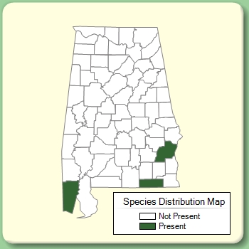 Species Distribution Map