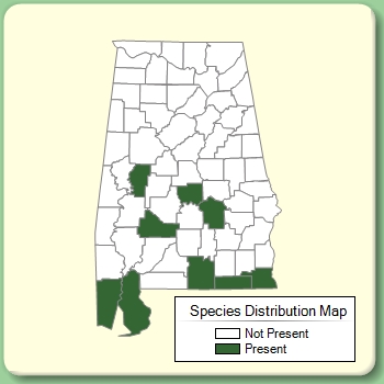 Species Distribution Map