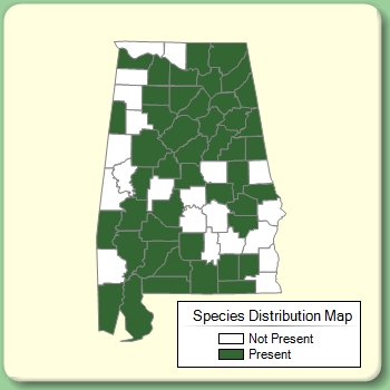 Species Distribution Map