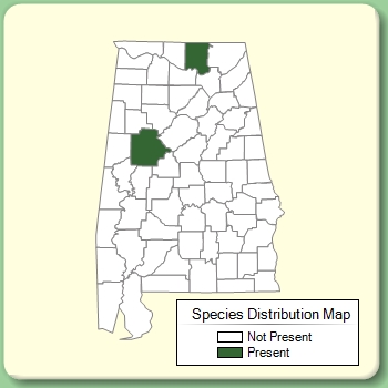 Species Distribution Map