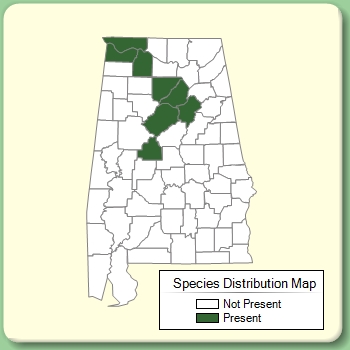 Species Distribution Map