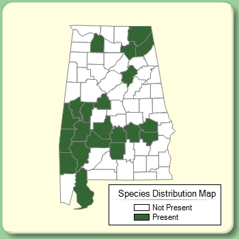 Species Distribution Map