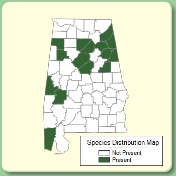 Species Distribution Map