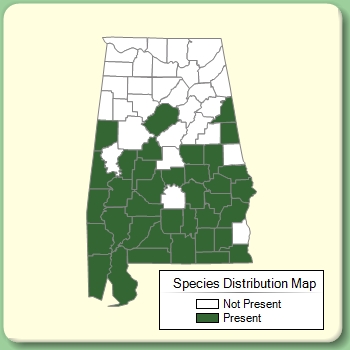 Species Distribution Map