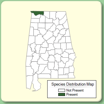 Species Distribution Map