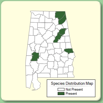 Species Distribution Map