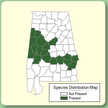 Species Distribution Map