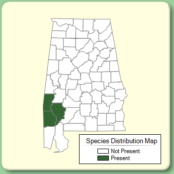 Species Distribution Map