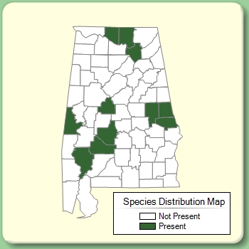 Species Distribution Map