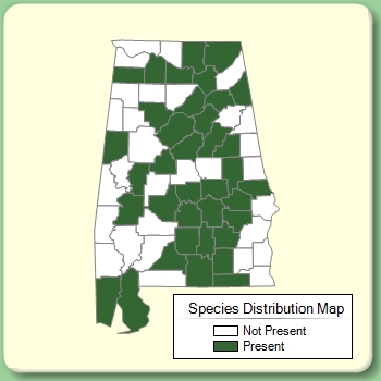 Species Distribution Map