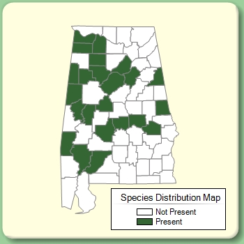 Species Distribution Map