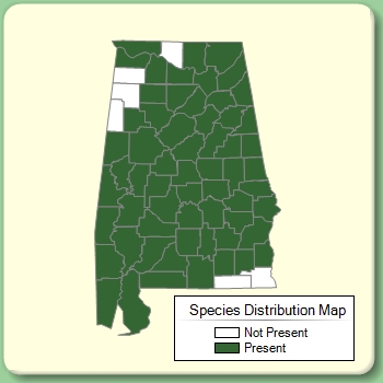 Species Distribution Map