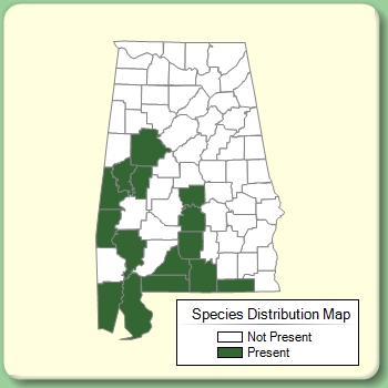 Species Distribution Map