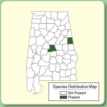 Species Distribution Map