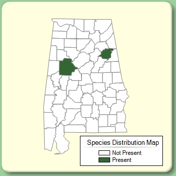 Species Distribution Map