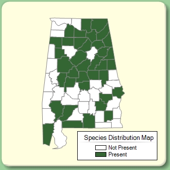 Species Distribution Map