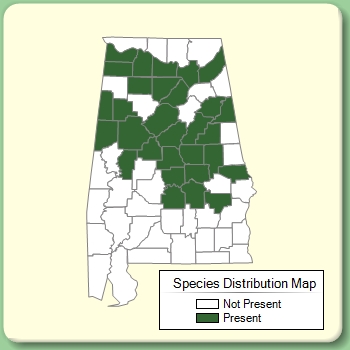 Species Distribution Map