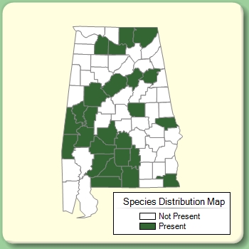 Species Distribution Map