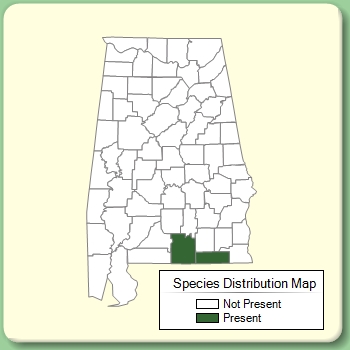 Species Distribution Map