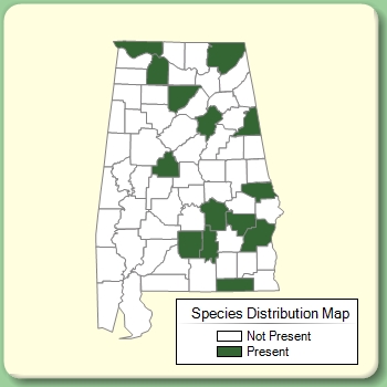 Species Distribution Map