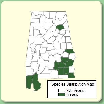 Species Distribution Map