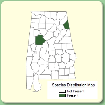 Species Distribution Map