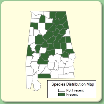 Species Distribution Map