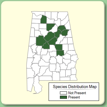 Species Distribution Map