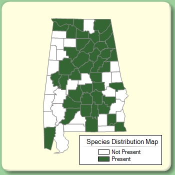 Species Distribution Map