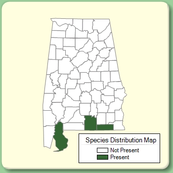 Species Distribution Map