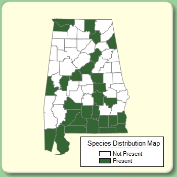 Species Distribution Map