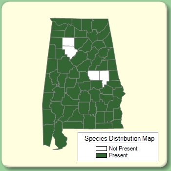 Species Distribution Map