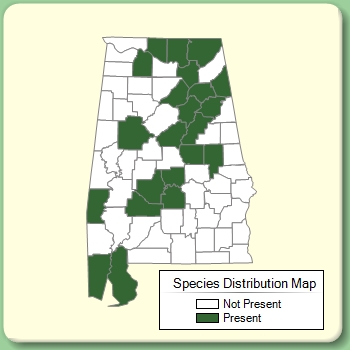 Species Distribution Map