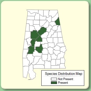 Species Distribution Map