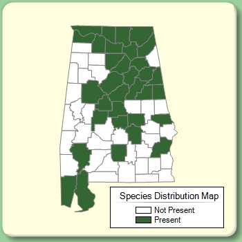 Species Distribution Map