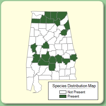 Species Distribution Map