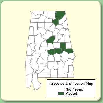 Species Distribution Map