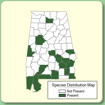 Species Distribution Map