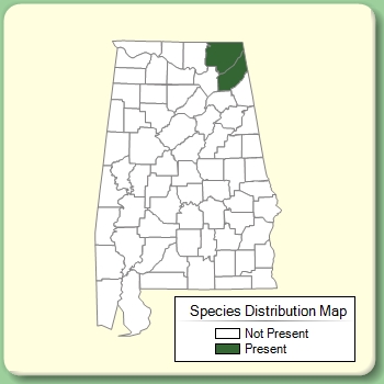 Species Distribution Map