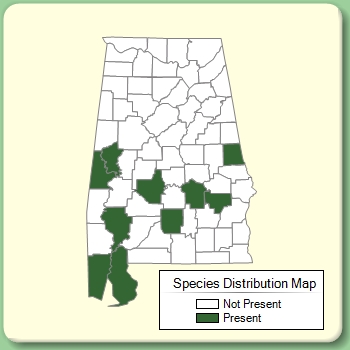 Species Distribution Map