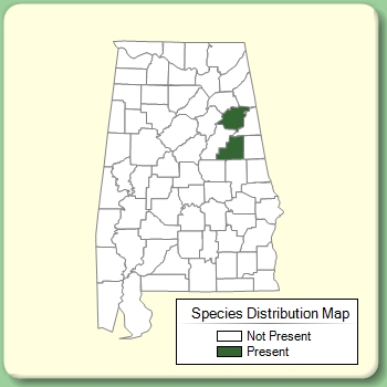 Species Distribution Map