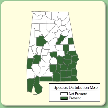 Species Distribution Map