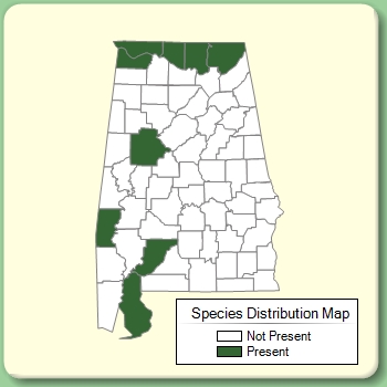 Species Distribution Map