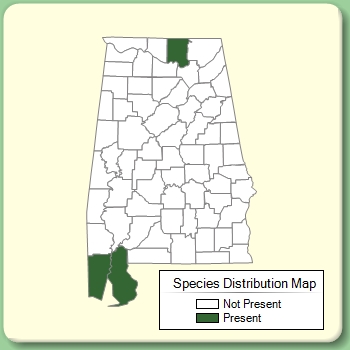 Species Distribution Map