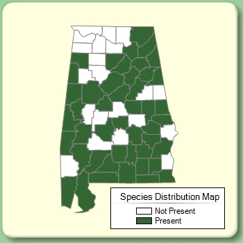 Species Distribution Map