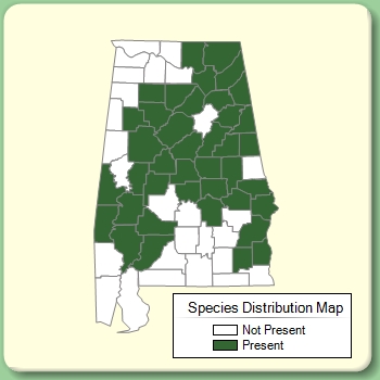 Species Distribution Map