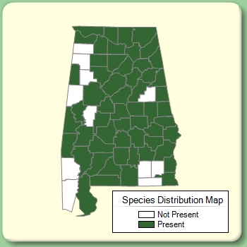 Species Distribution Map