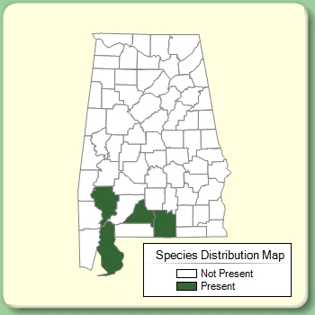 Species Distribution Map