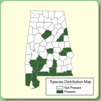 Species Distribution Map