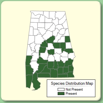 Species Distribution Map